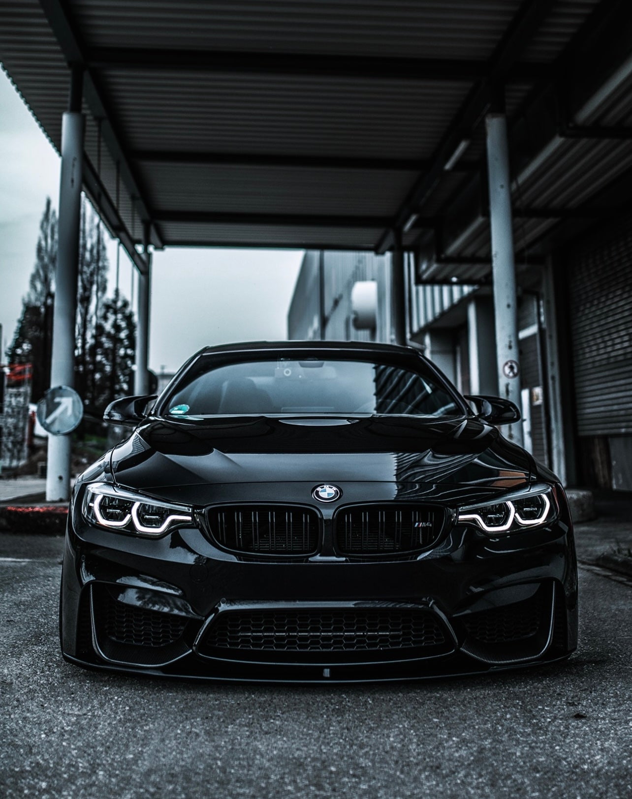 Dual Slat Front Grilles - BMW F80 M3