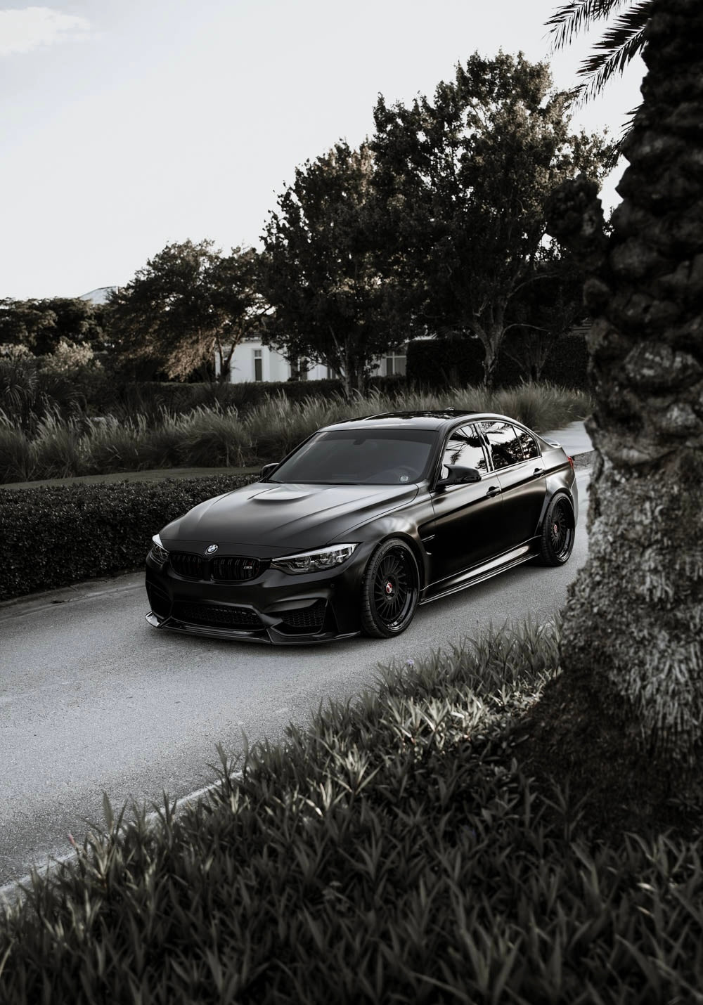 BMW F80 M3