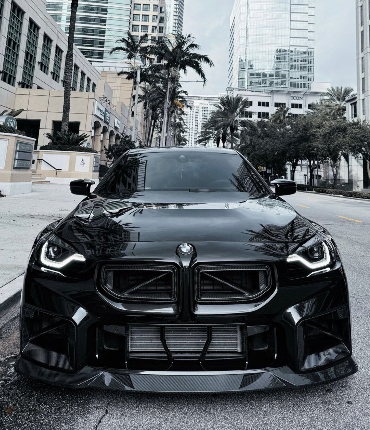 Carbon Fiber Front Grille SQ Style - BMW G87 M2